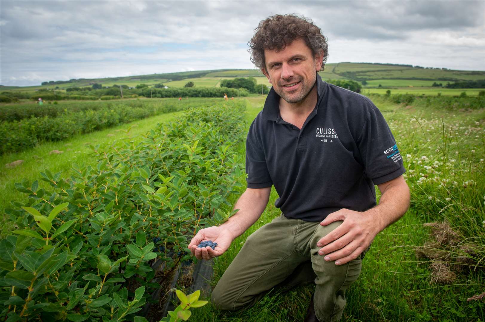 Farmer Robert Mackenzie picking a new crop of honeyberries. Picture: Callum Mackay