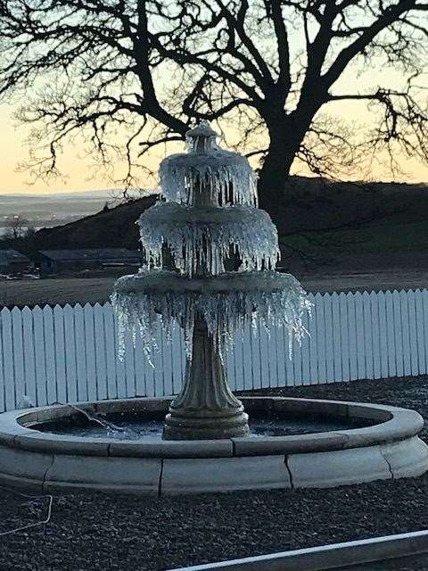 Paula Bremner sent this frozen garden water feature.