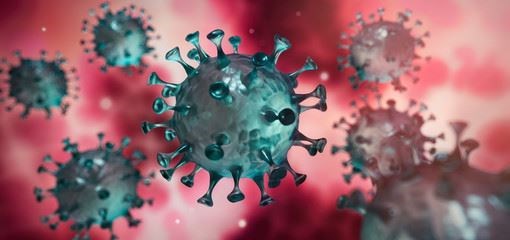Vaccination is vital in trying to stop the spread of coronavirus.