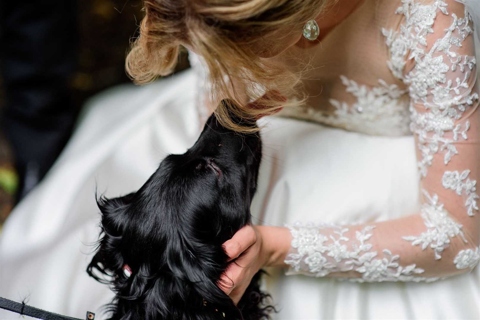 More couples want to make their favourite pet a part of their wedding day.
