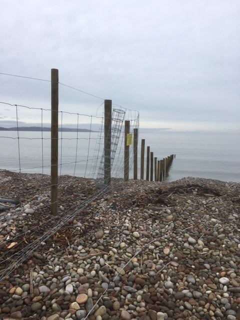 The fence stretches below the high water mark into the sea.