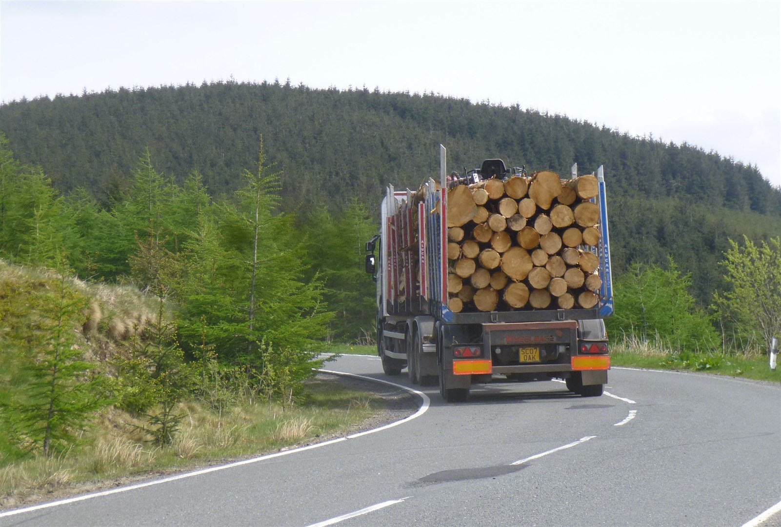 The cash will improve road links used by the forestry industry.