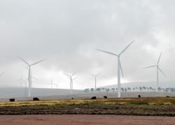 Most Scots back wind as part of the energy mix, claims a Ross MSP