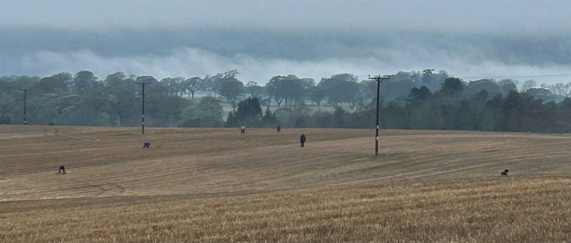 A stubble field with detectors busy scanning.
