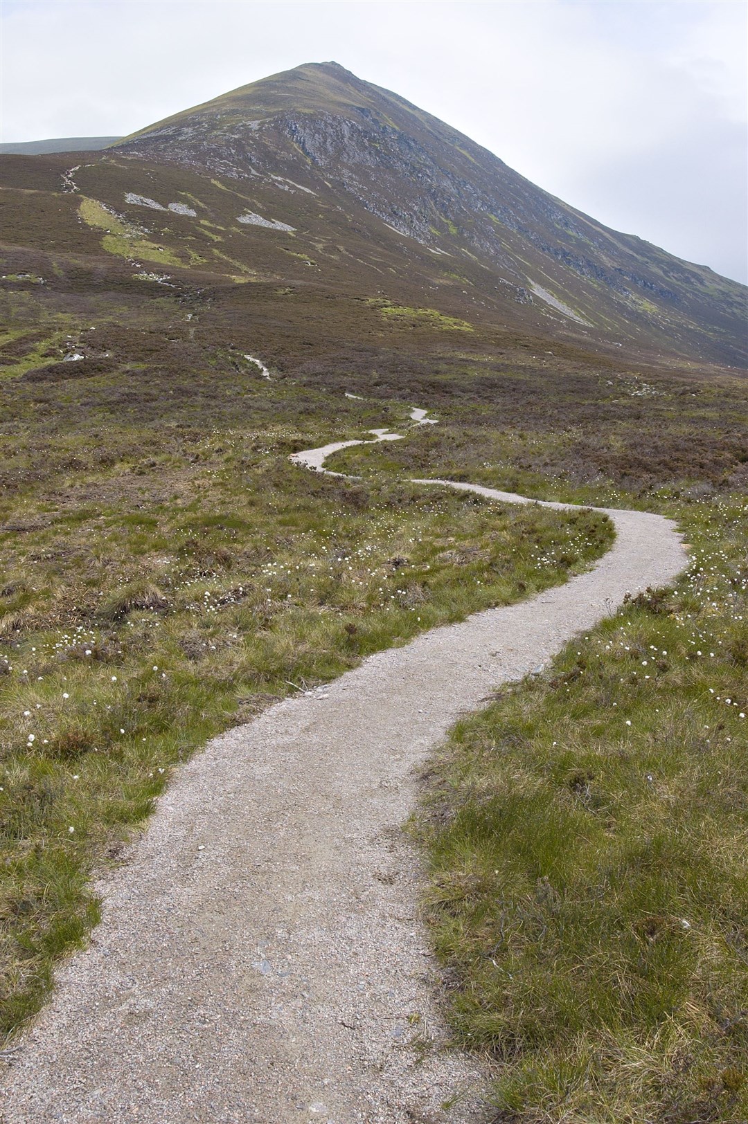 People can help by sticking to the main path. Picture: NatureScot