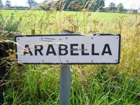Arabella, near Tain.