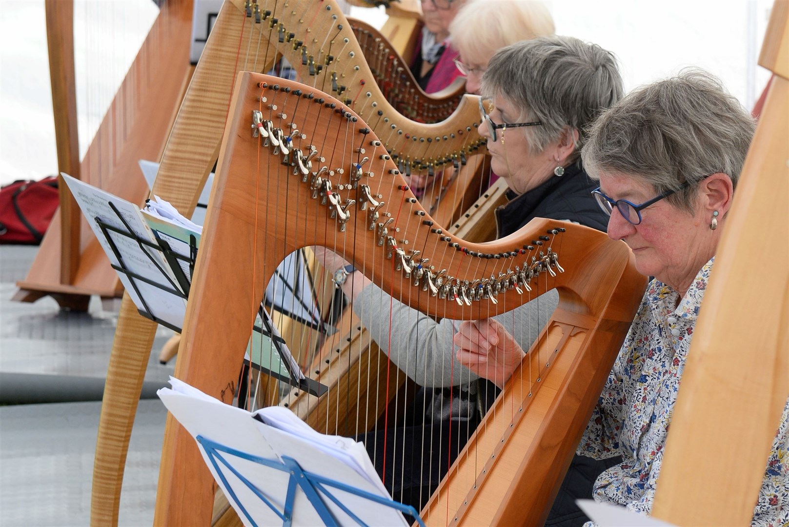Harpists entertain at a previous event.Picture Gary Anthony.