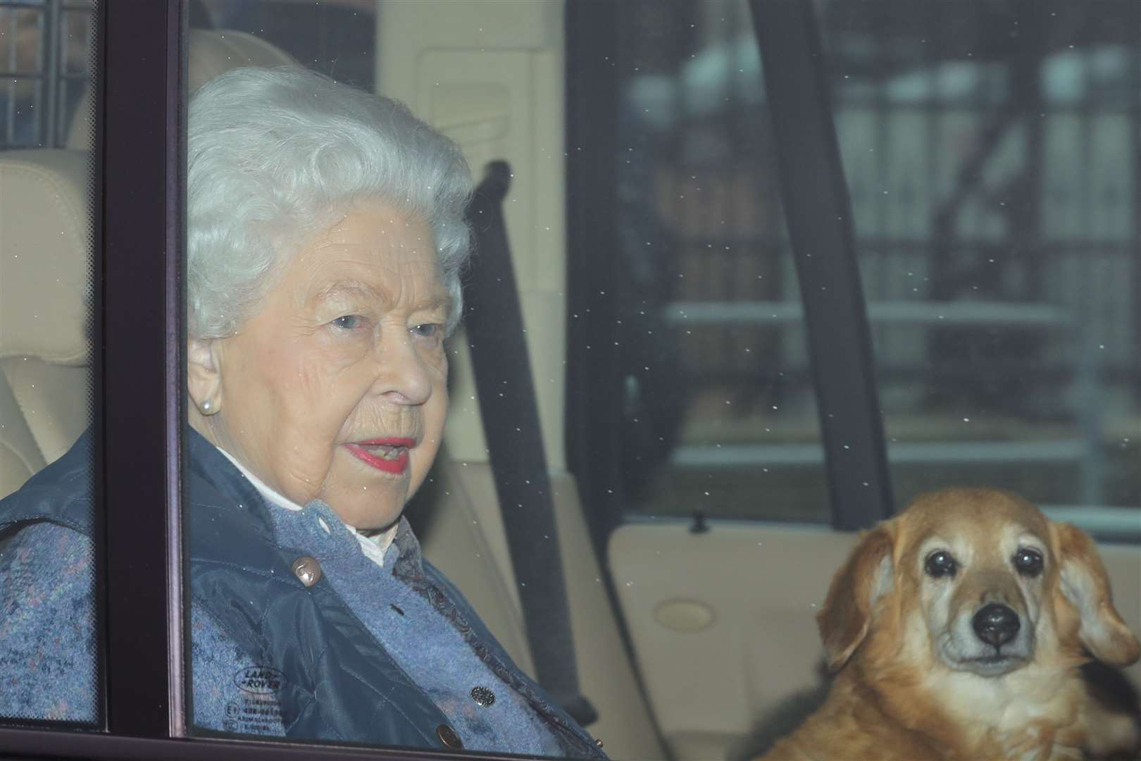 The Queen leaving Buckingham Palace for Windsor Castle ahead of the first lockdown with one of her dorgis (Aaron Chown/PA)