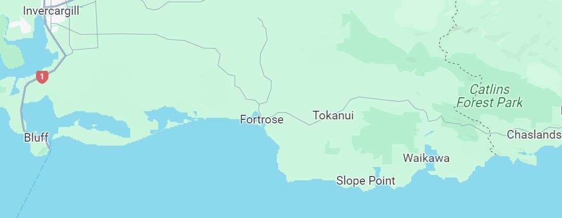 Fortrose on New Zealand's South Island. Image: Google Maps