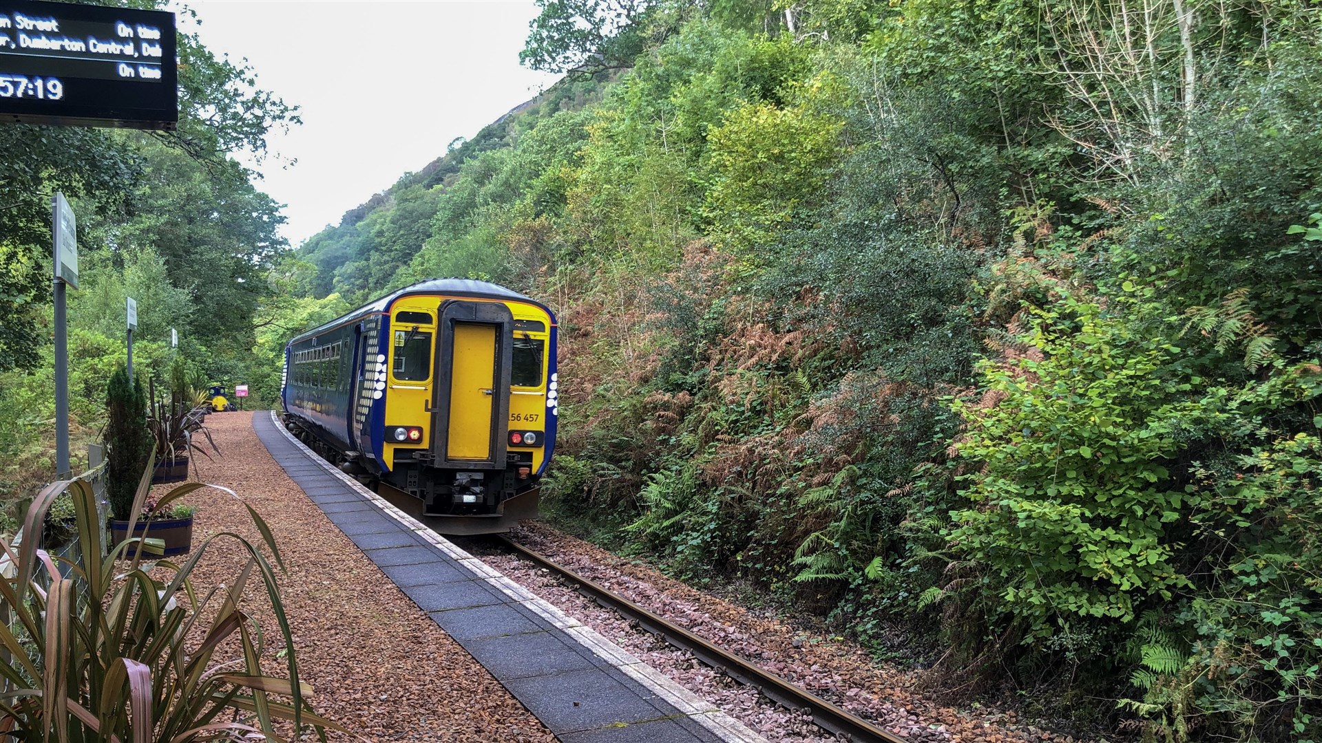 A class 156 train on Scotland's west coast