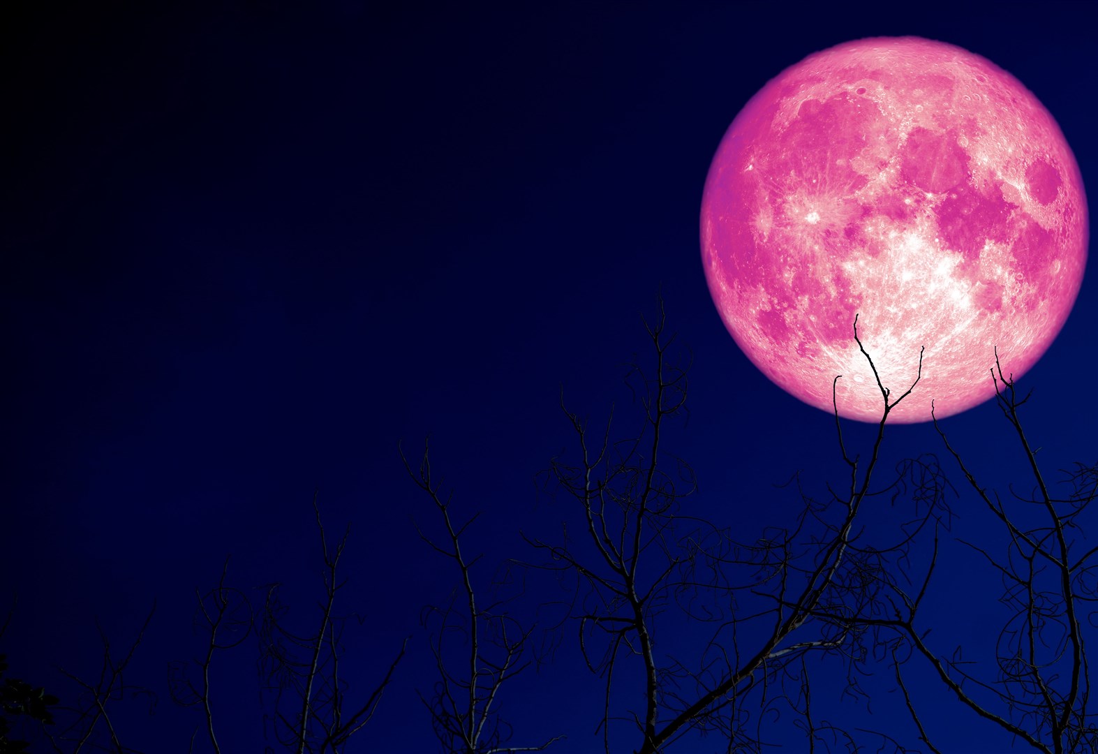 Strawberry Moon will be on show from 8pm tonight