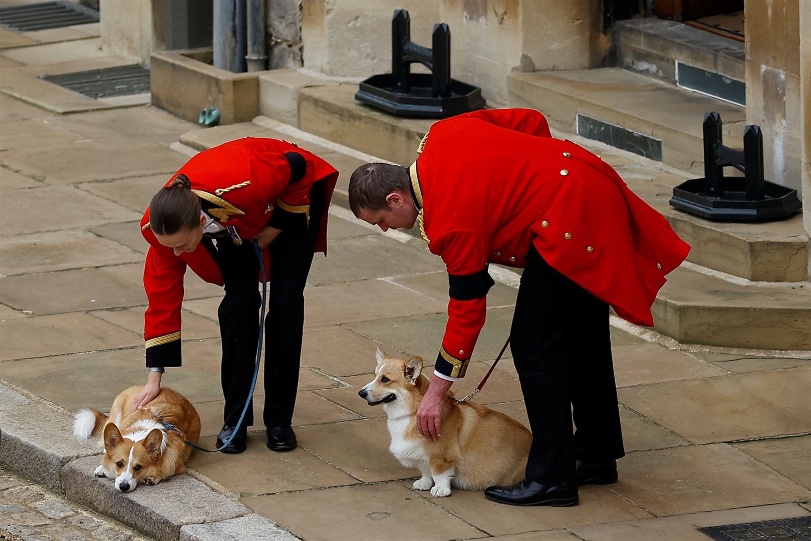 The Queen’s two corgis, Muick and Sandy, were seen during the late monarch’s funeral procession through Windsor Castle. Peter Nicholls/PA