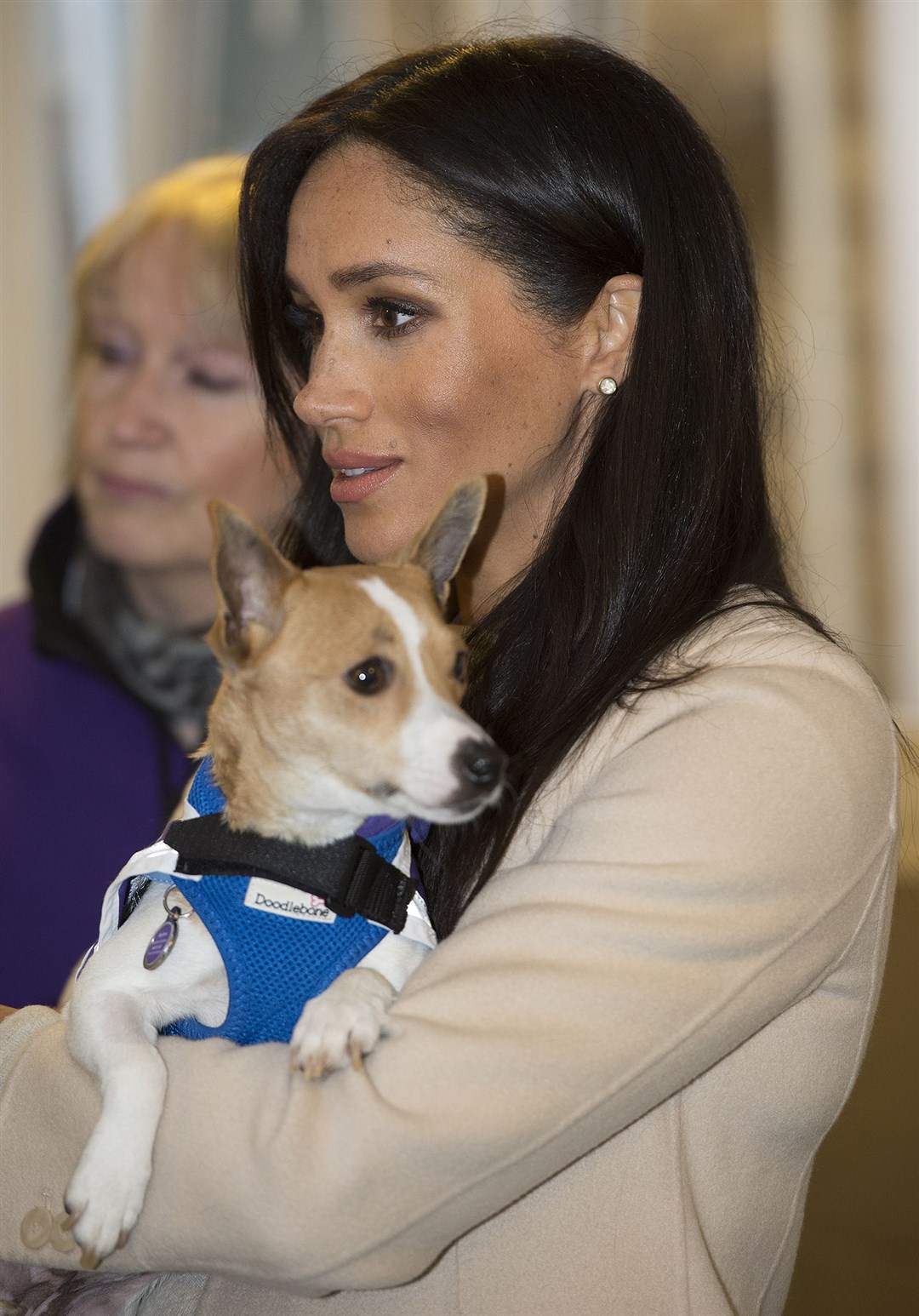 The Duchess of Sussex meets a Jack Russell called Minnie during a visit to Mayhew (Eddie Mulholland/Daily Telegraph/PA)