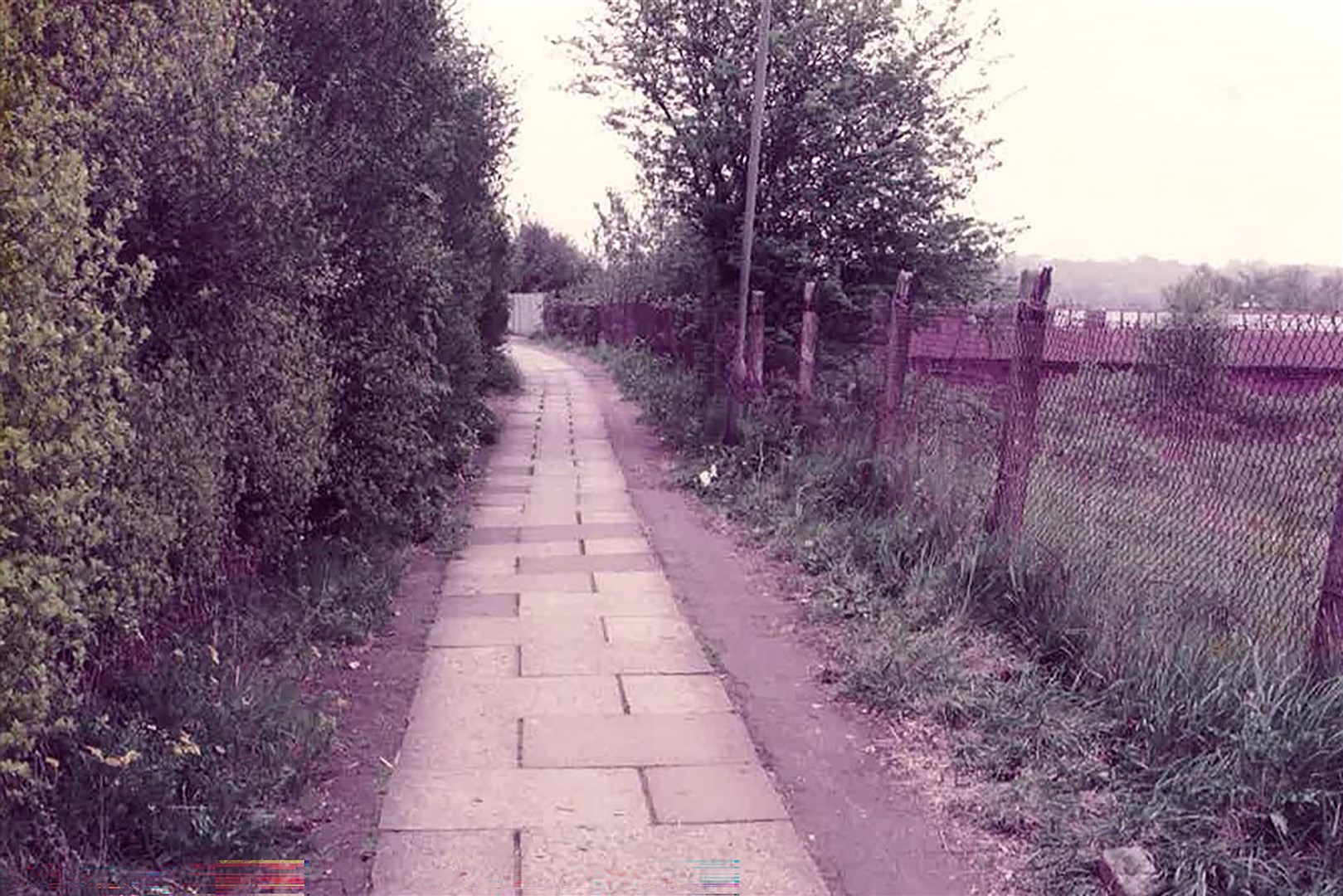 The alleyway in East Finchley, north London where Anthony Littler was found (Met Police/PA)