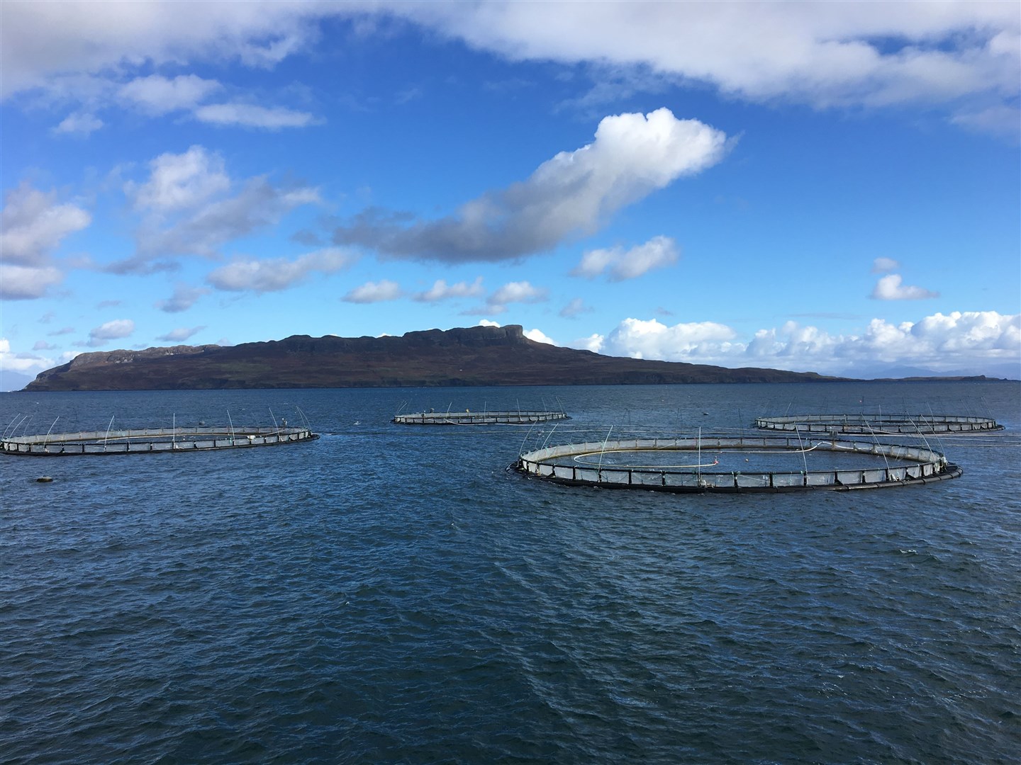 A salmon farm off the Isle of Muck, with Eigg in the distance. Supplied picture.