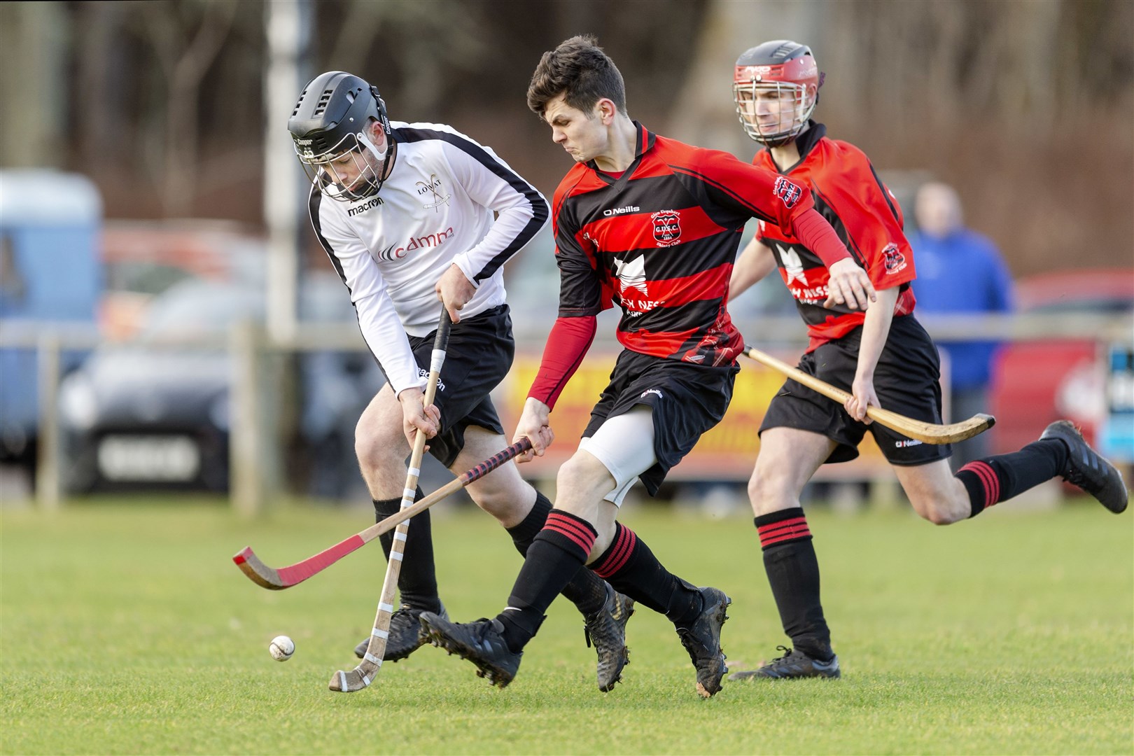 Plans have been announced for the return of shinty.