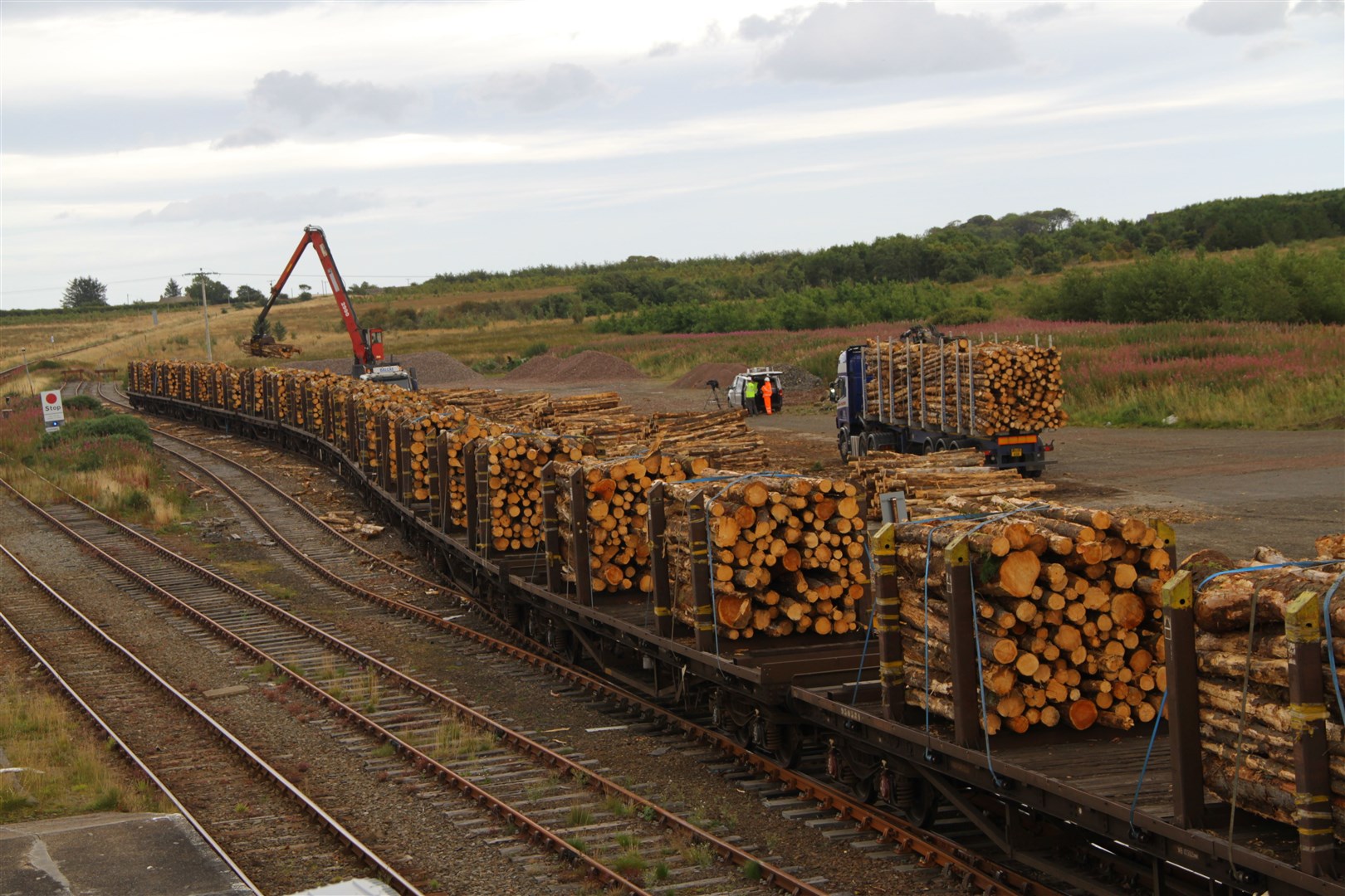 A timber freight trail is loaded and prepared to leave Georgemas Junction.