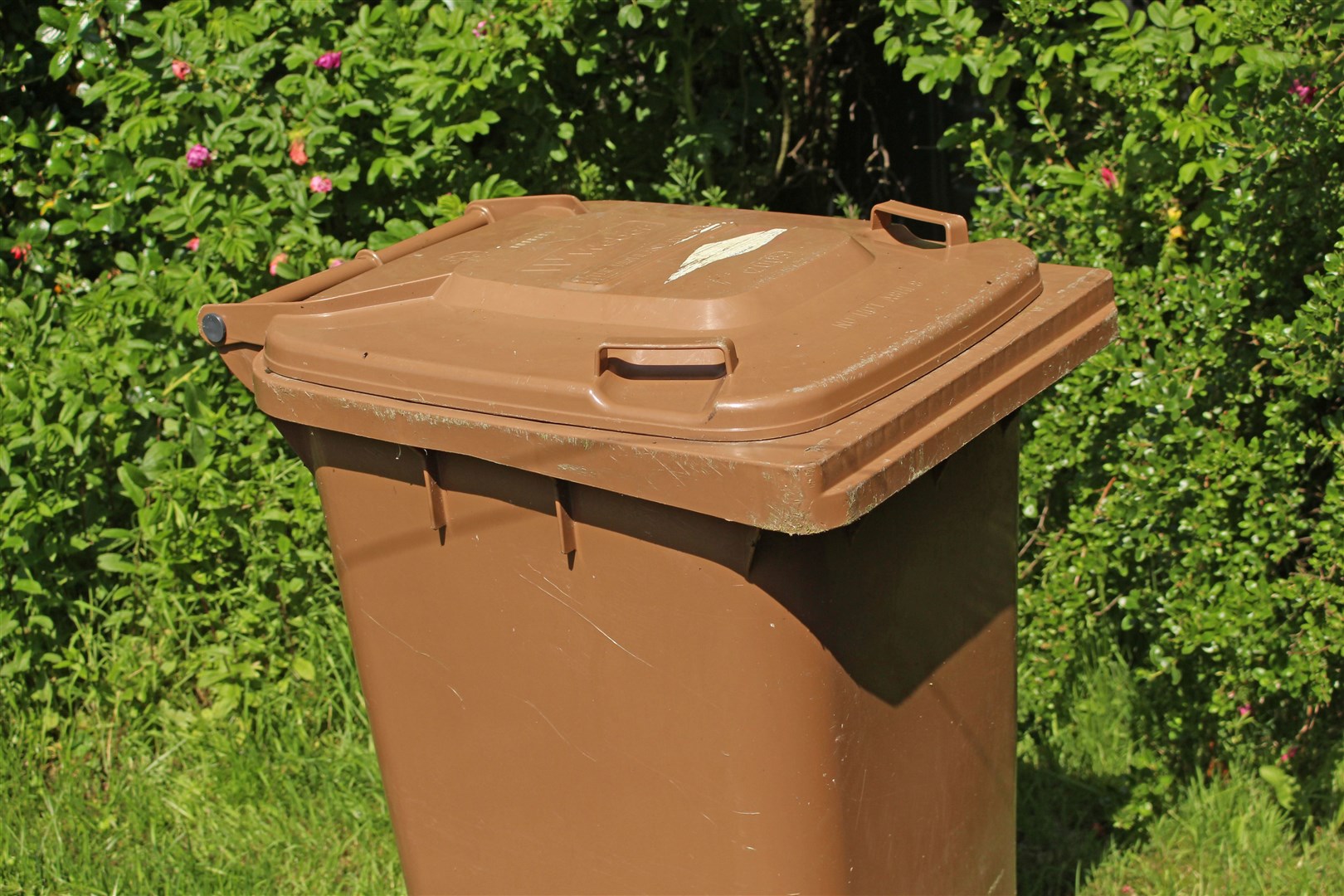 Householders must pay for a permit to have their brown bins lifted.
