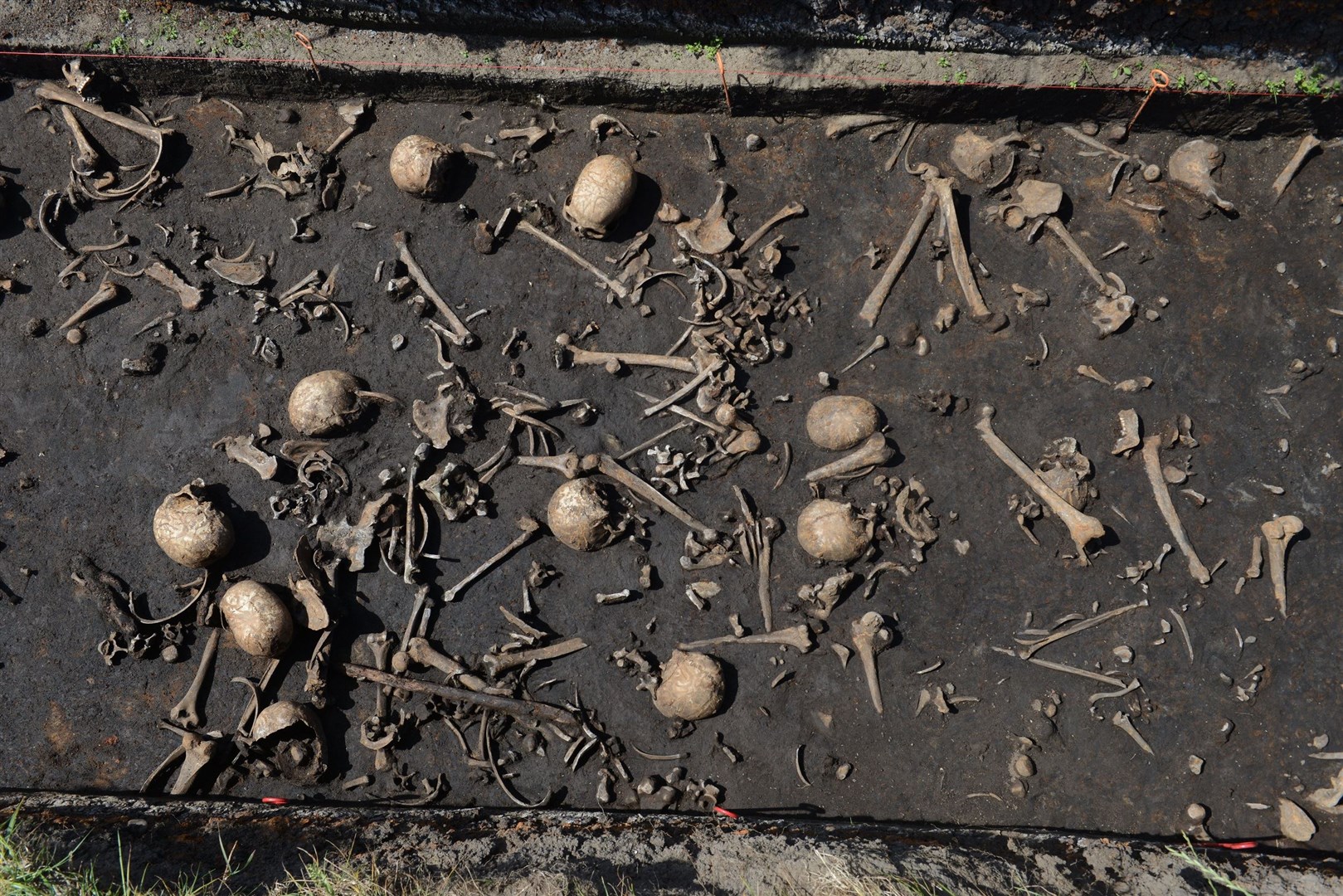 Bones from more than 100 individuals have been discovered on the battlefield (Stefan Sauer/Tollense Valley Project/PA)