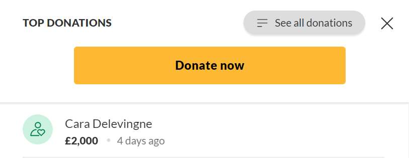 Cara Delevingne’s donation (GoFundMe)