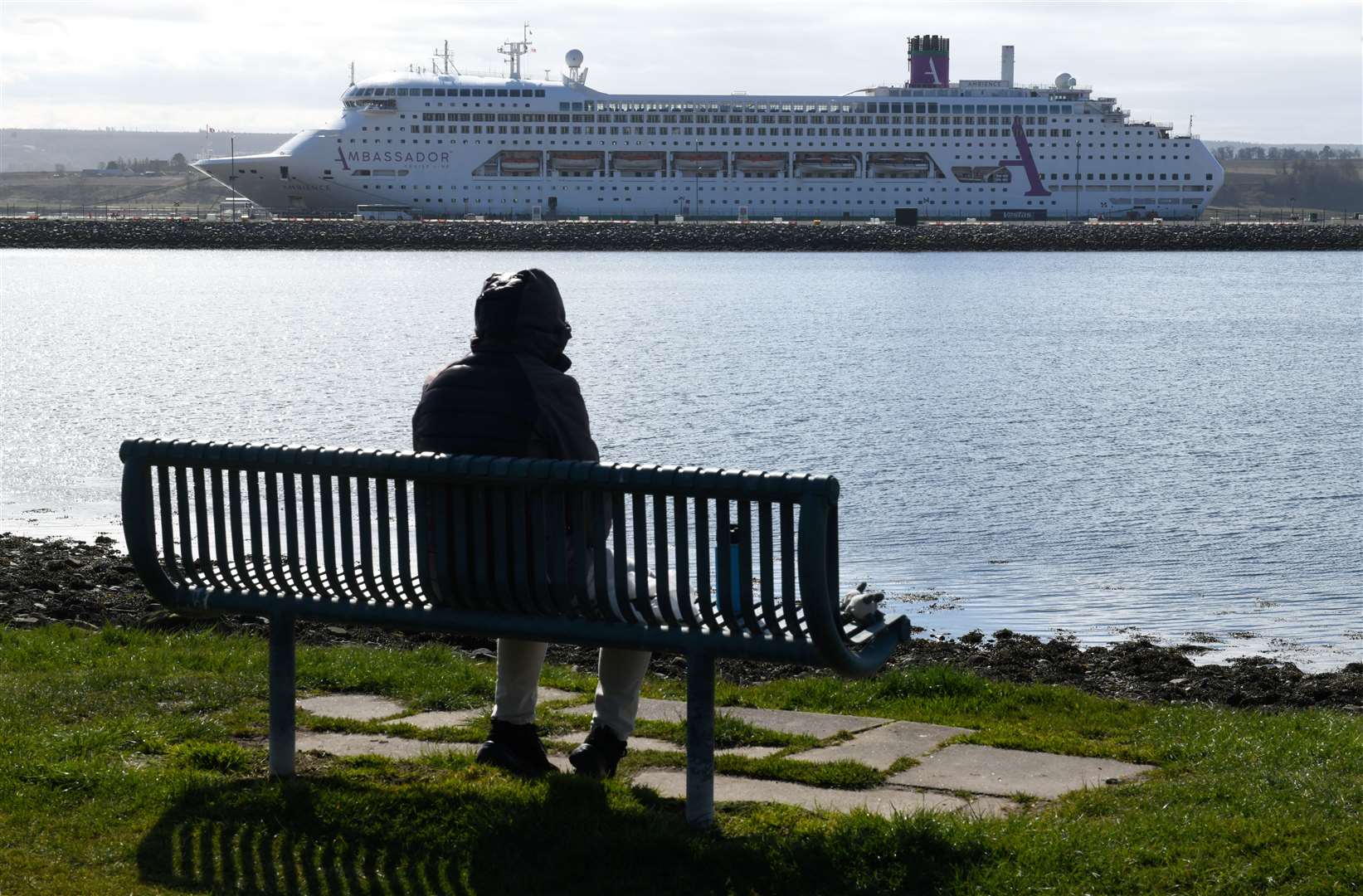 The Ambassador cruise ship at Invergordon. Picture: James Mackenzie.