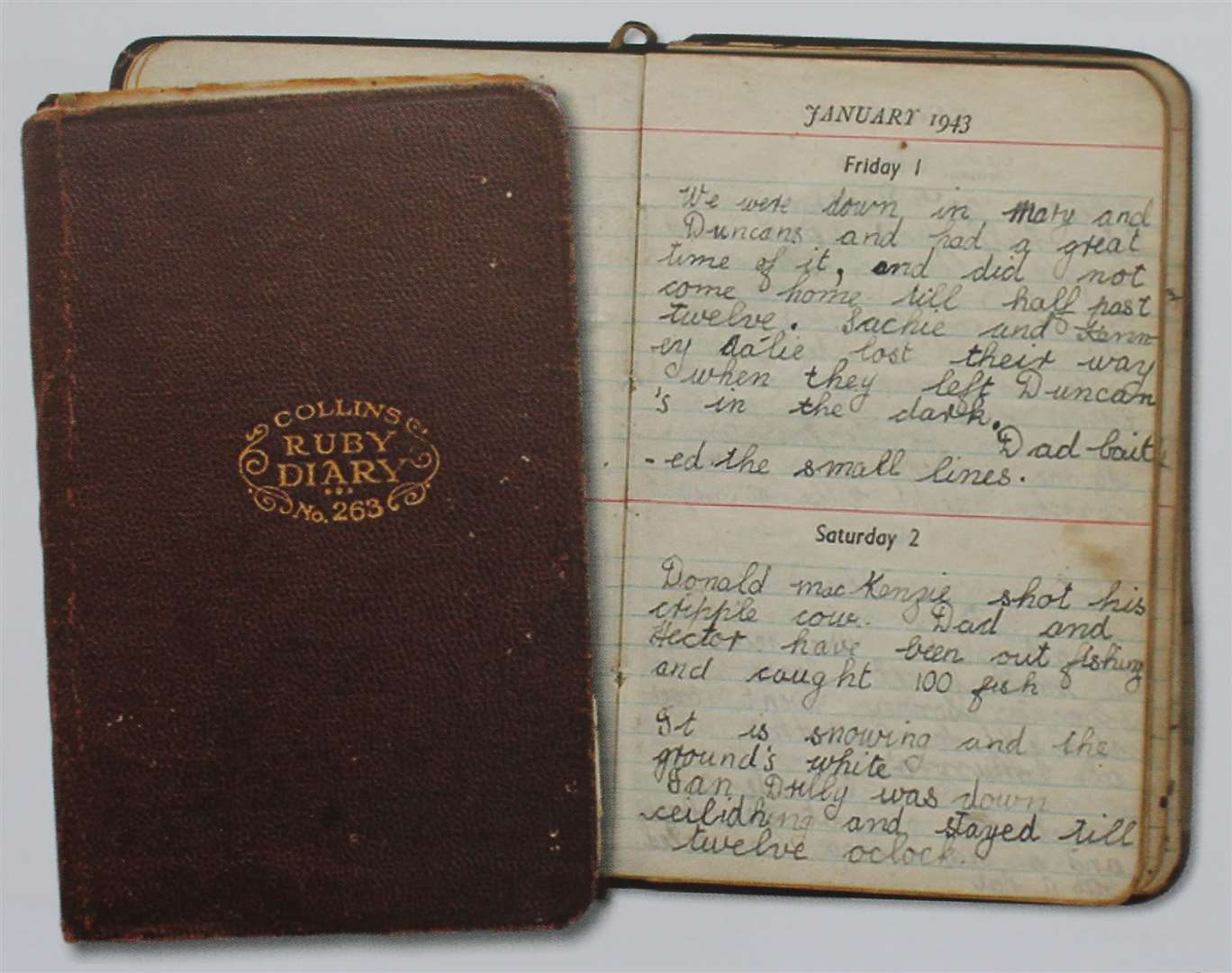 The diary is a precious treasure trove of memories.