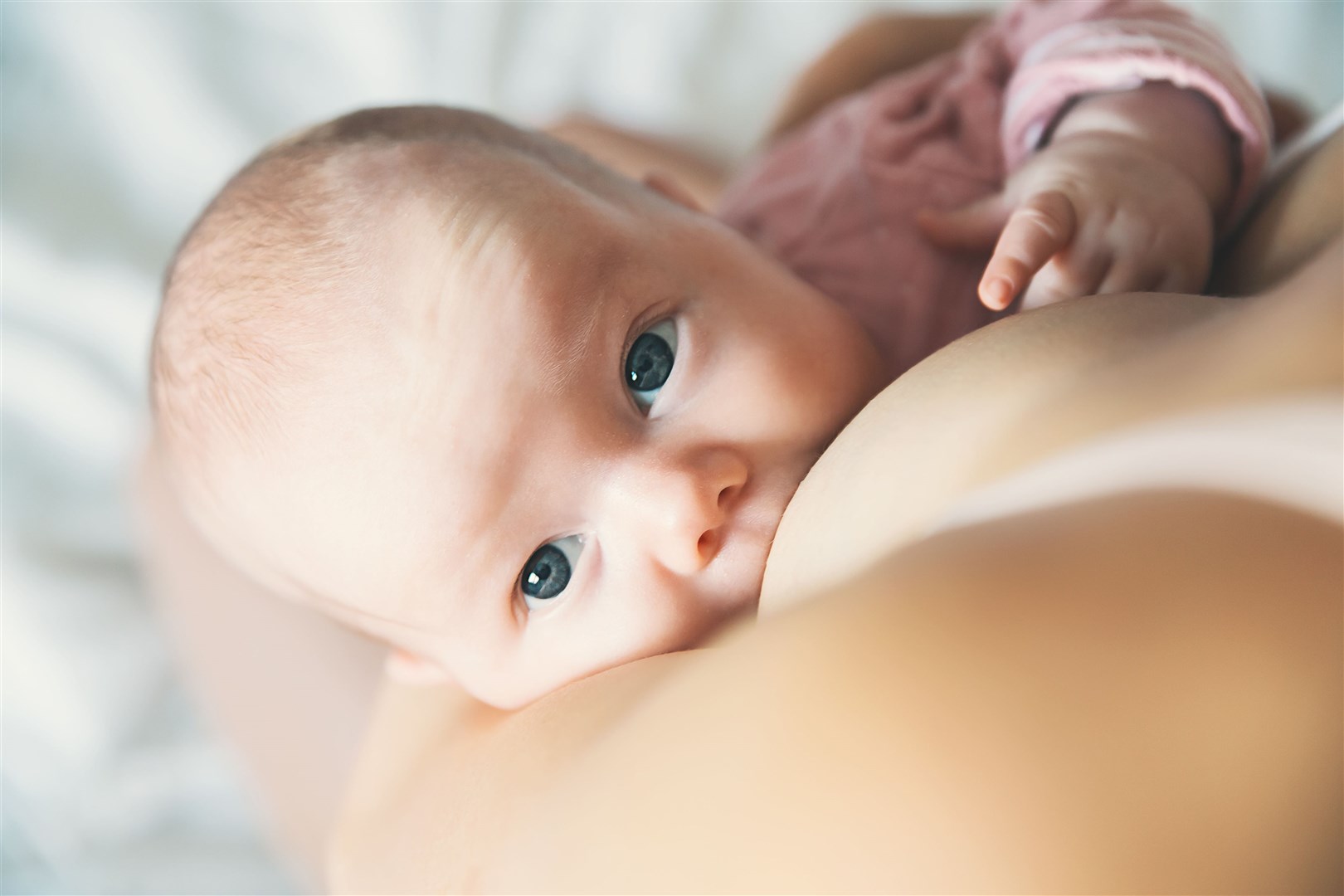 'The question must be: what can be done to support mothers who want to continue to breastfeed transition from maternity leave back into the workplace?' Picture: Adobe Stock