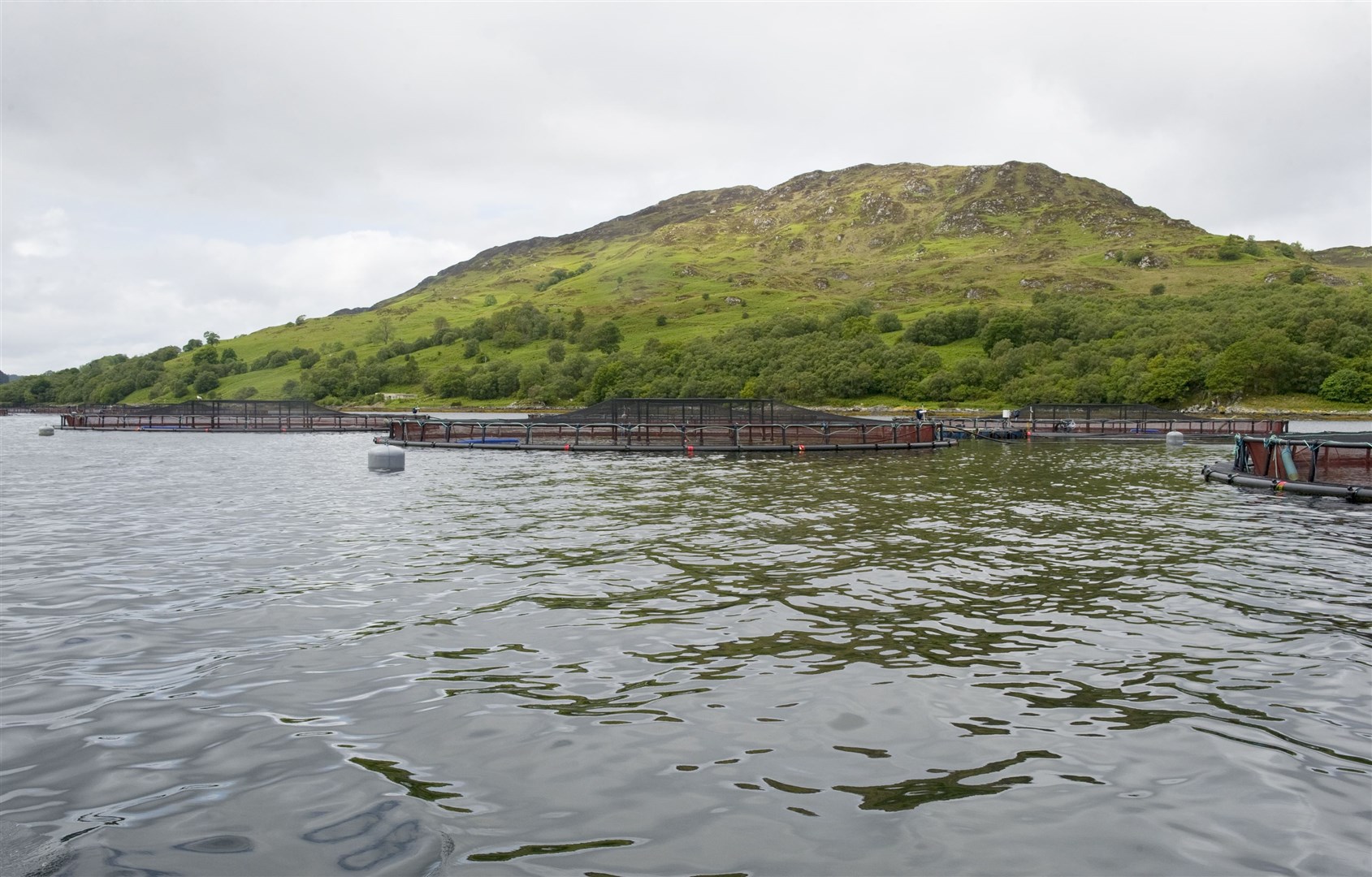 The Scottish Salmon Company also operates fish farms in Sheildaig, Loch Torridon, as well as Argyll, Mull and the Western Isles.