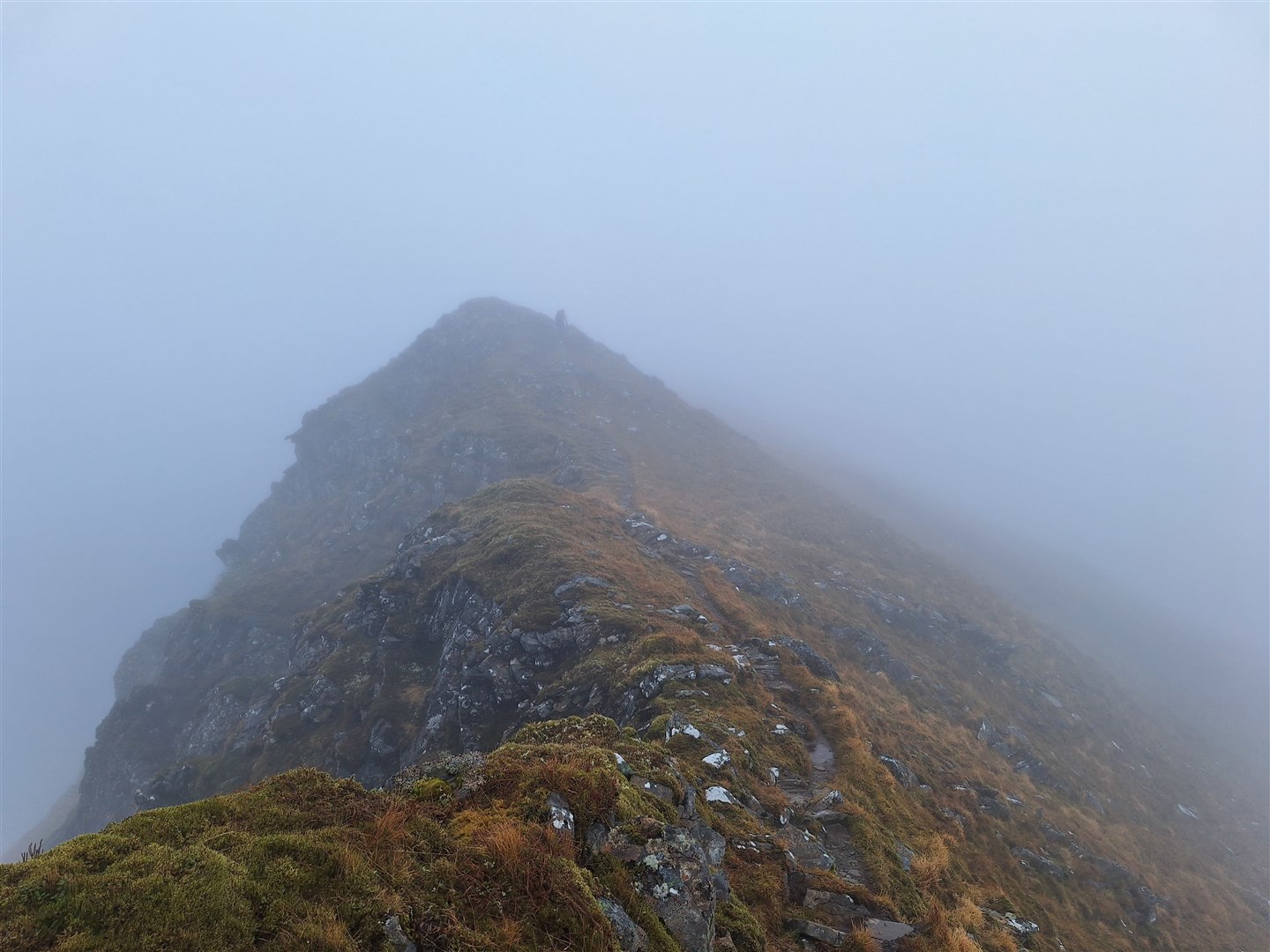In the clouds on the South Glen Shiel Ridge this autumn.