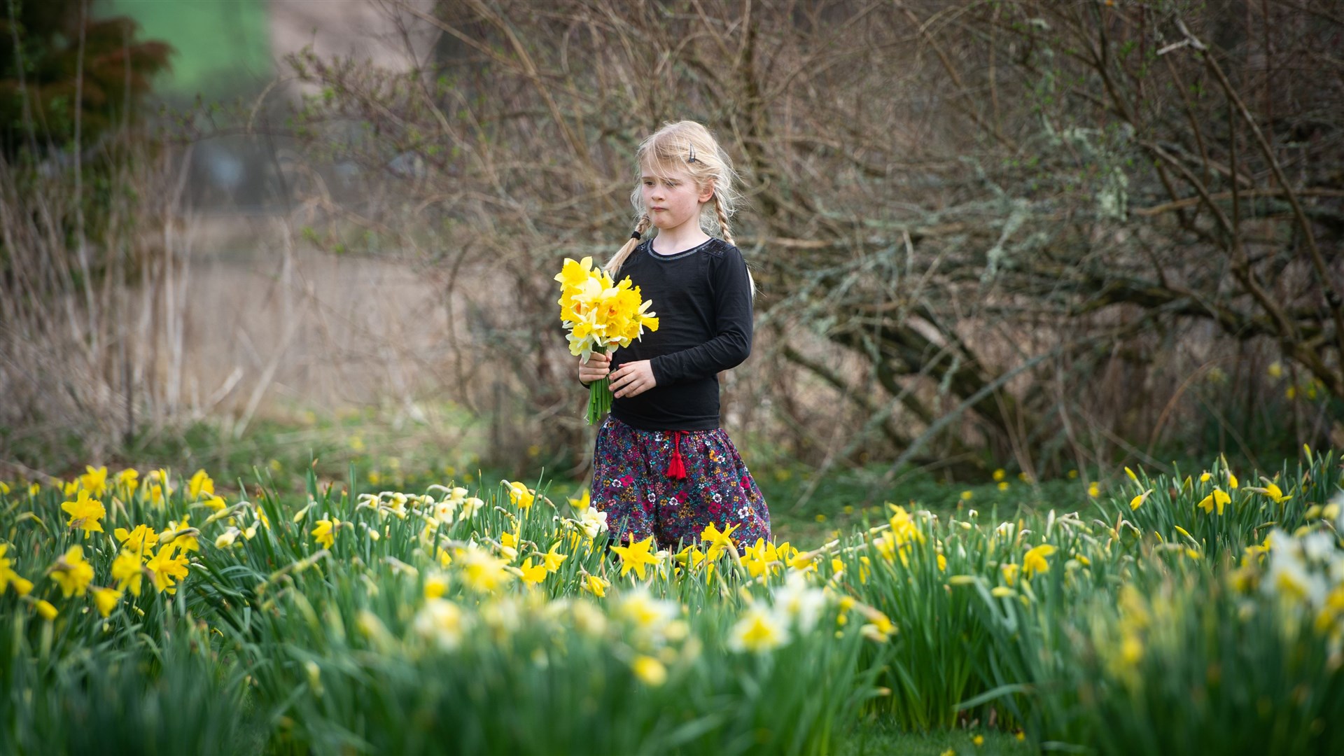 The Foulis Castle Daffodil Day will benefit a cause close to the hearts of the Munro family – and many others watching the tragic events in Ukraine develop.