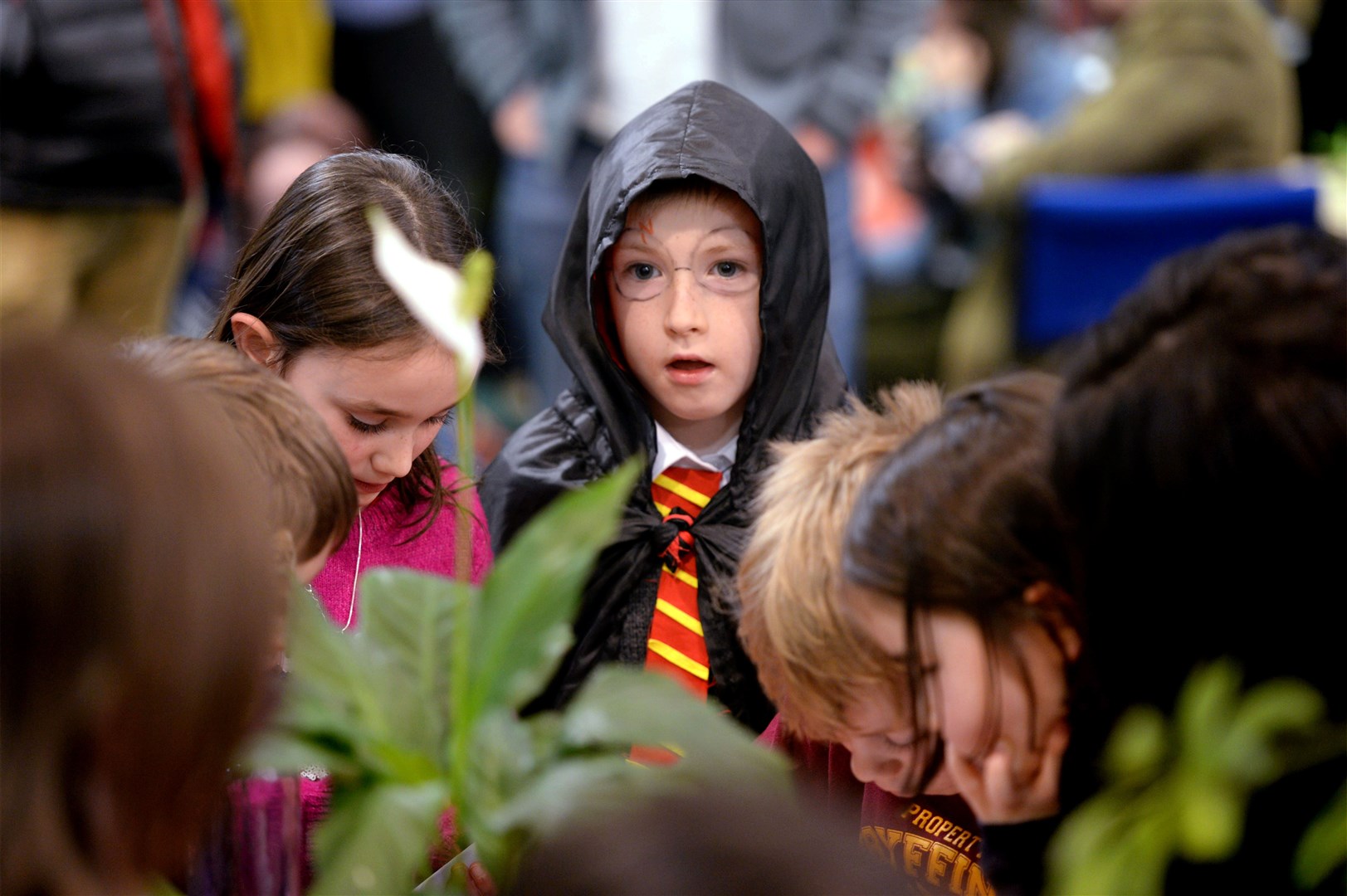 The last Fortrose Harry Potter night in Ferbruary 2020 was a magical event. Attendees were split into teams to locate the scrolls hidden around the library. Something a little different is being planned for this year. Picture: James MacKenzie