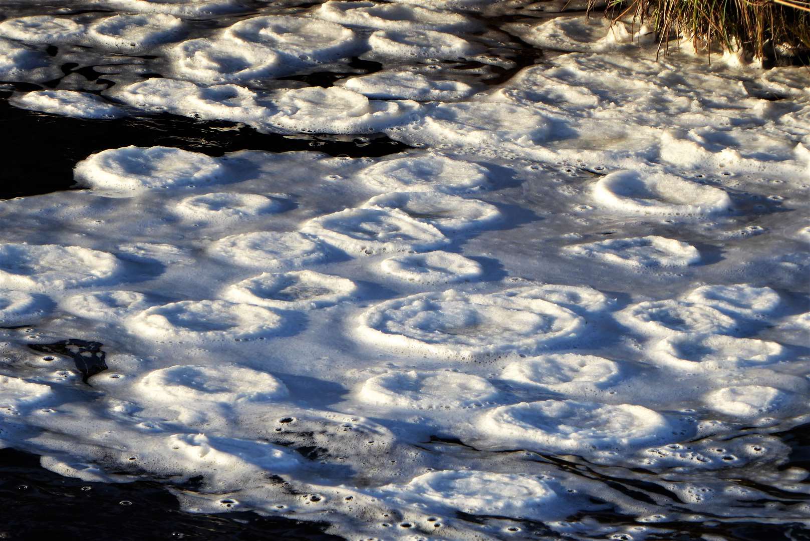 Ice discs form when conditions are just below freezing.