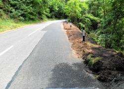 A landslip prompted a smart response from council workers