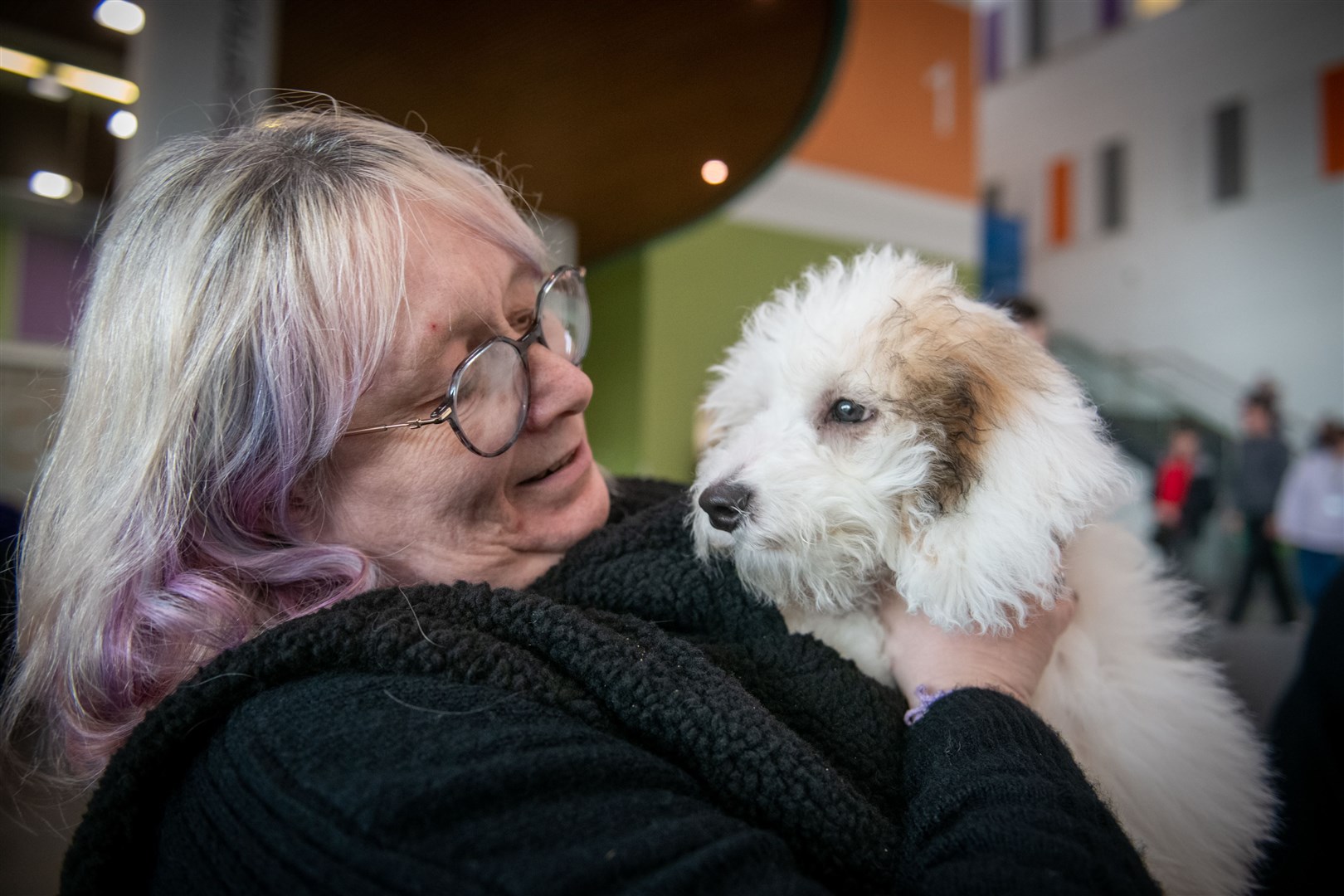 Remus enjoys the attention from Tracey Cleary during the Therapets visit to UHI Inverness. Picture: Callum Mackay.
