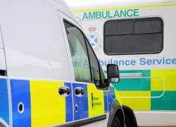 Two children received treatment after a collision on the Black Isle