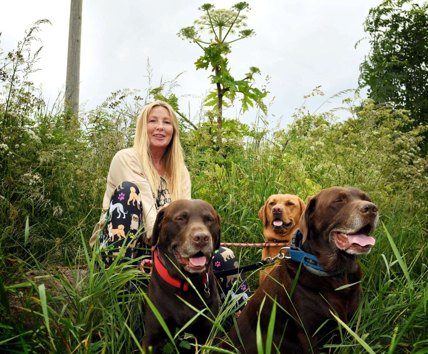 Angela Woodrow, professional dog walker with a large hogweed plant looming behind her. Picture: James Mackenzie