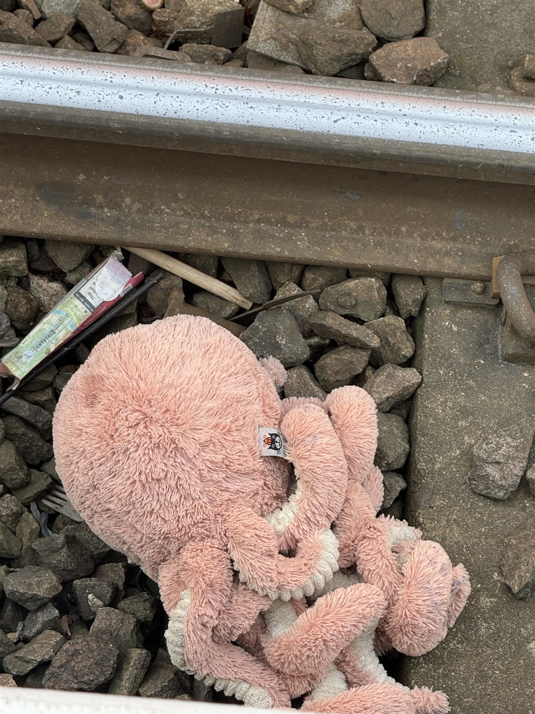 Tenny fell on the tracks on January 4 (Andrew Elliott/PA)