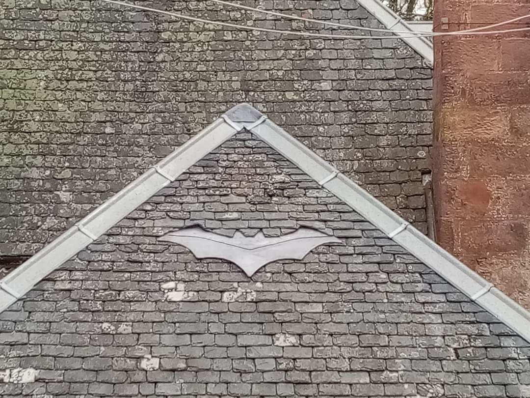 The bat artwork on a house in Balblair.