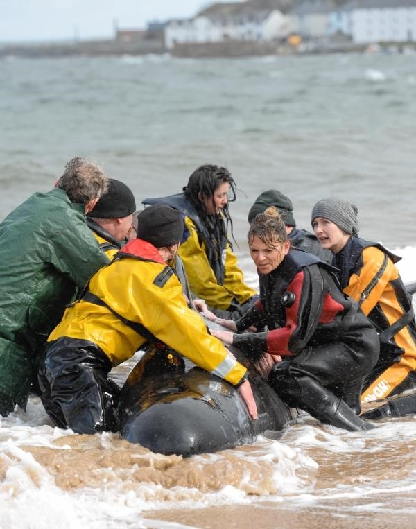 Many hands make light work as locals aid rescue workers at Portmahomack. Picture: Gary Anthony SPP
