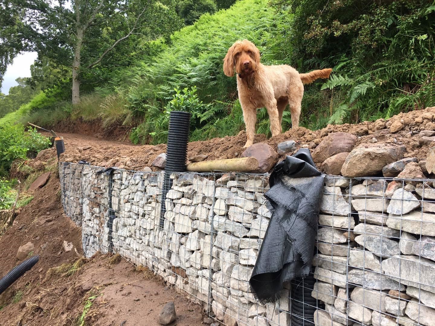 Progress on the Peffery Way meets this furry observer's approval! Picture: Peffery Way Association.