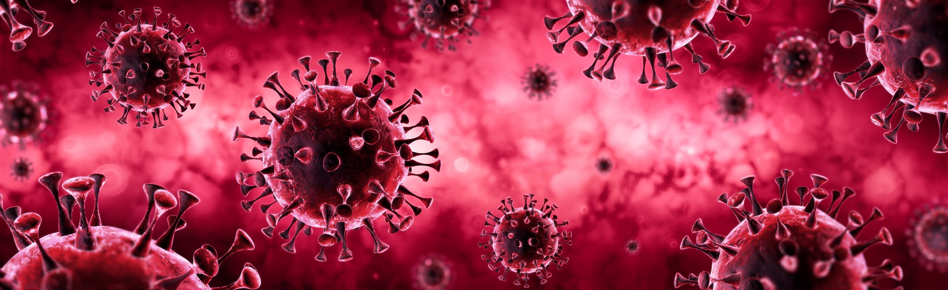 Thirteen more people have been diagnosed with coronavirus in the Highlands.