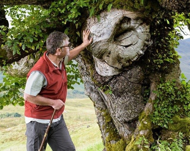 Giles Brockman with the Glen Affric elm tree that resembles a character from the Lord of the Rings.