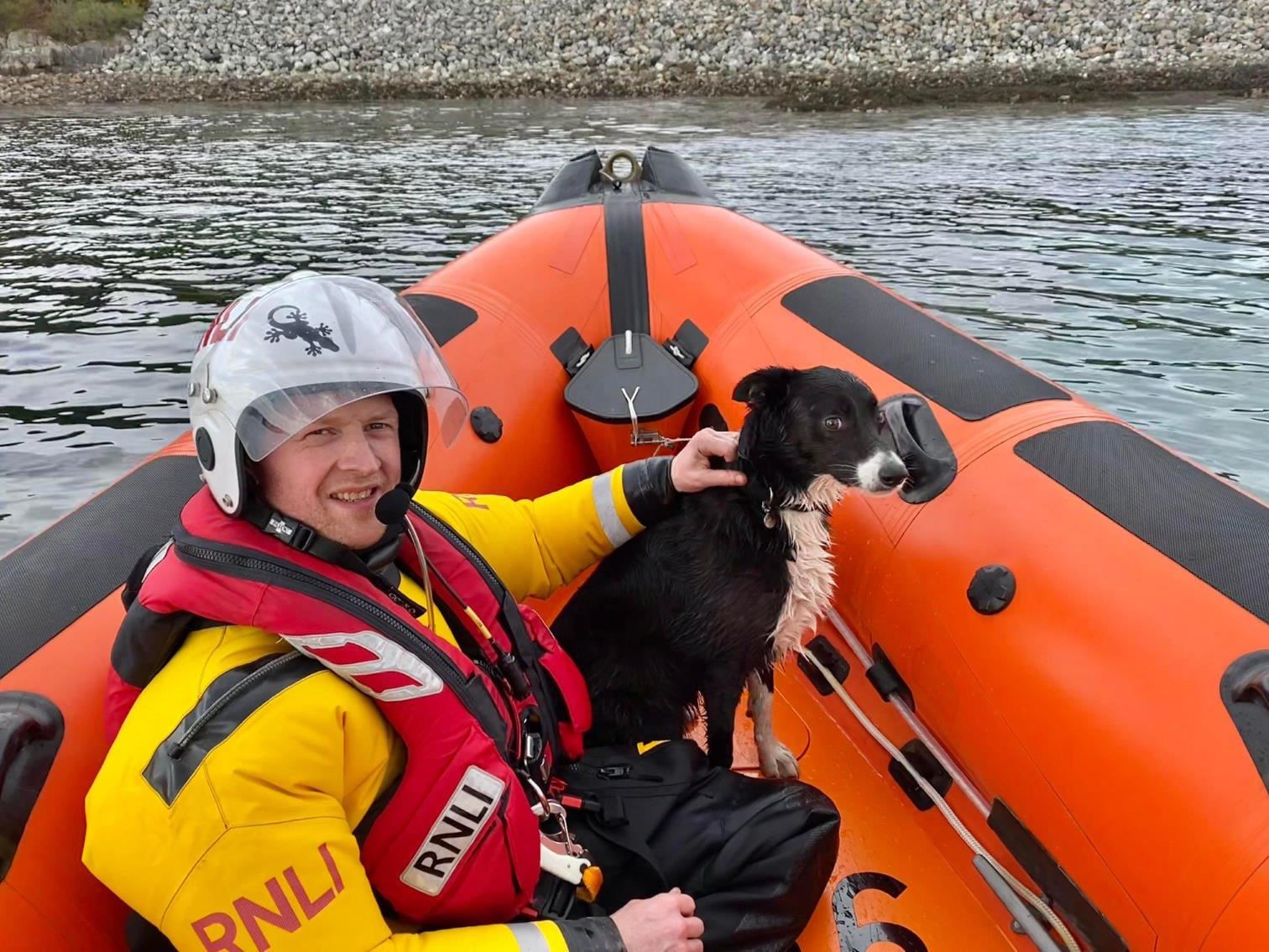Skye the dog on-board the lifeboat. Picture: Kyle RNLI