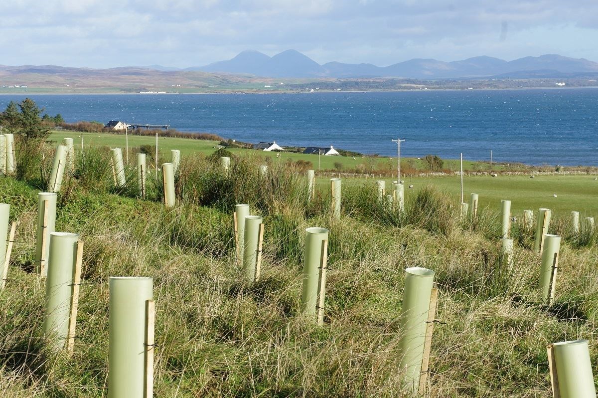Tree planting on Islay. Picture: Woodland Trust/Iona Hyde