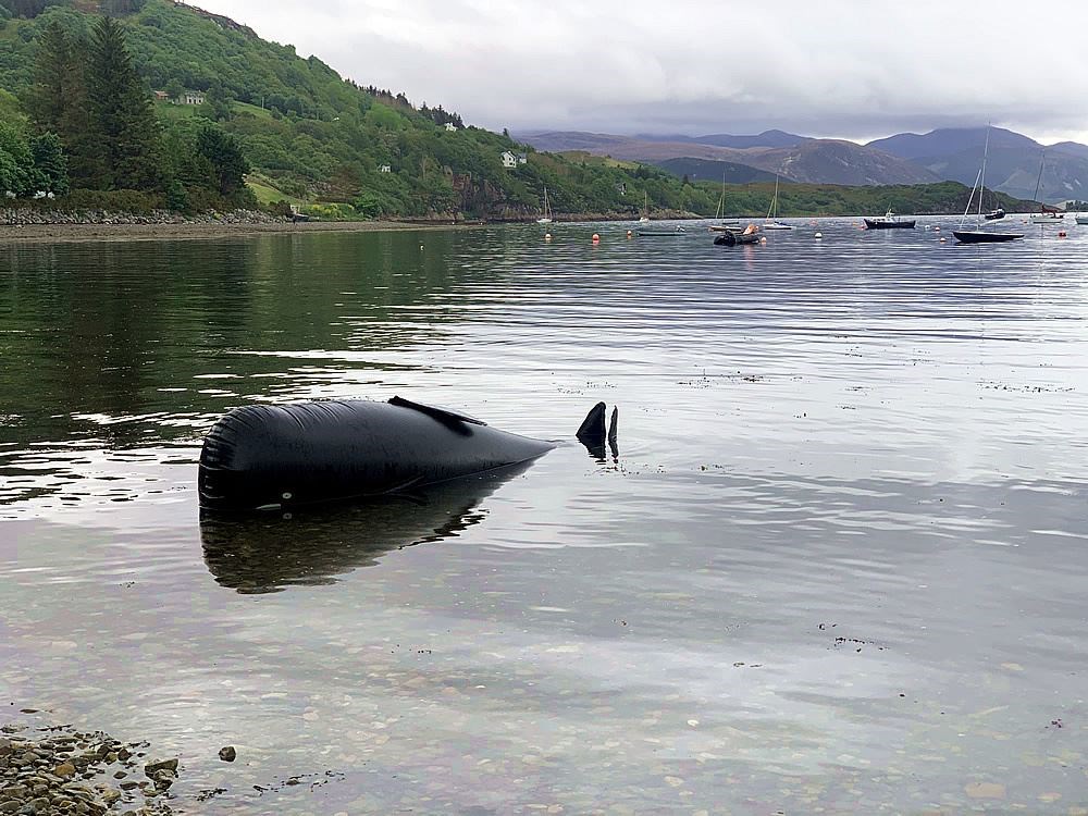 BDMLR training in Ullapool made use of dummy whales and dolphins to make scenarios as realistic as possible.