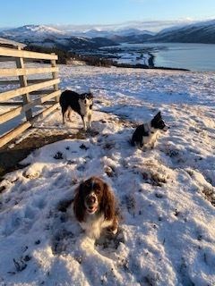 Maisie, Jan and Tess enjoy the view over Lochbroom this week. They're happy enough but the weather is badly affecting schools. Picture: Avril Scott