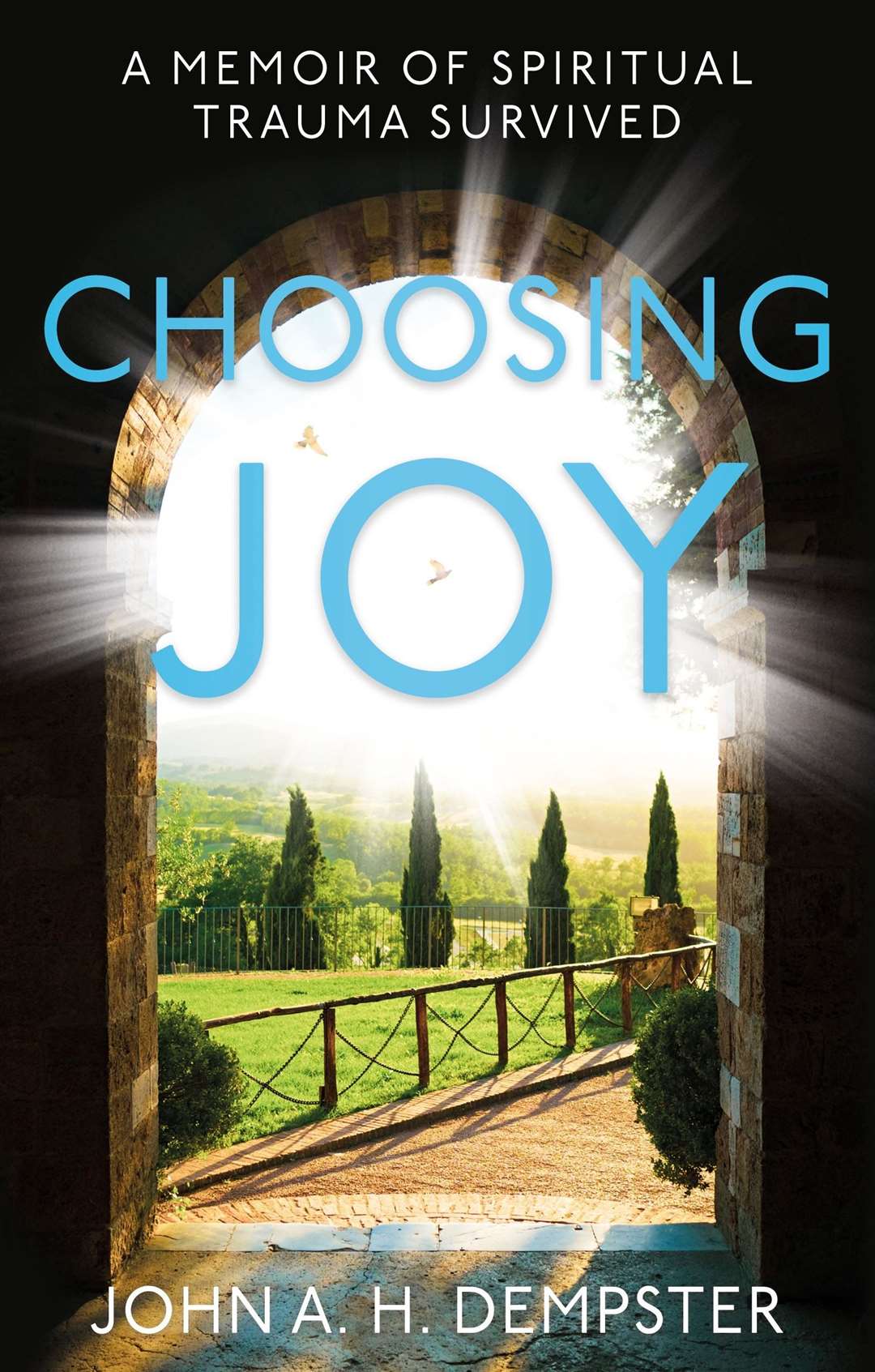 The cover of John's new book, Choosing Joy.