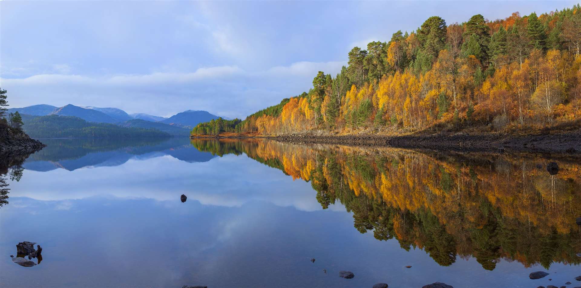Glen Affric. Picture by: Grant Willoughby