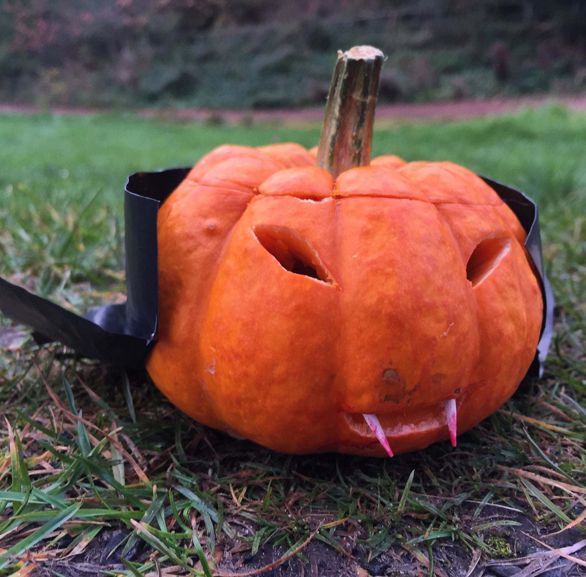 A Black Isle village is preparing to Halloween a bit differently this year.