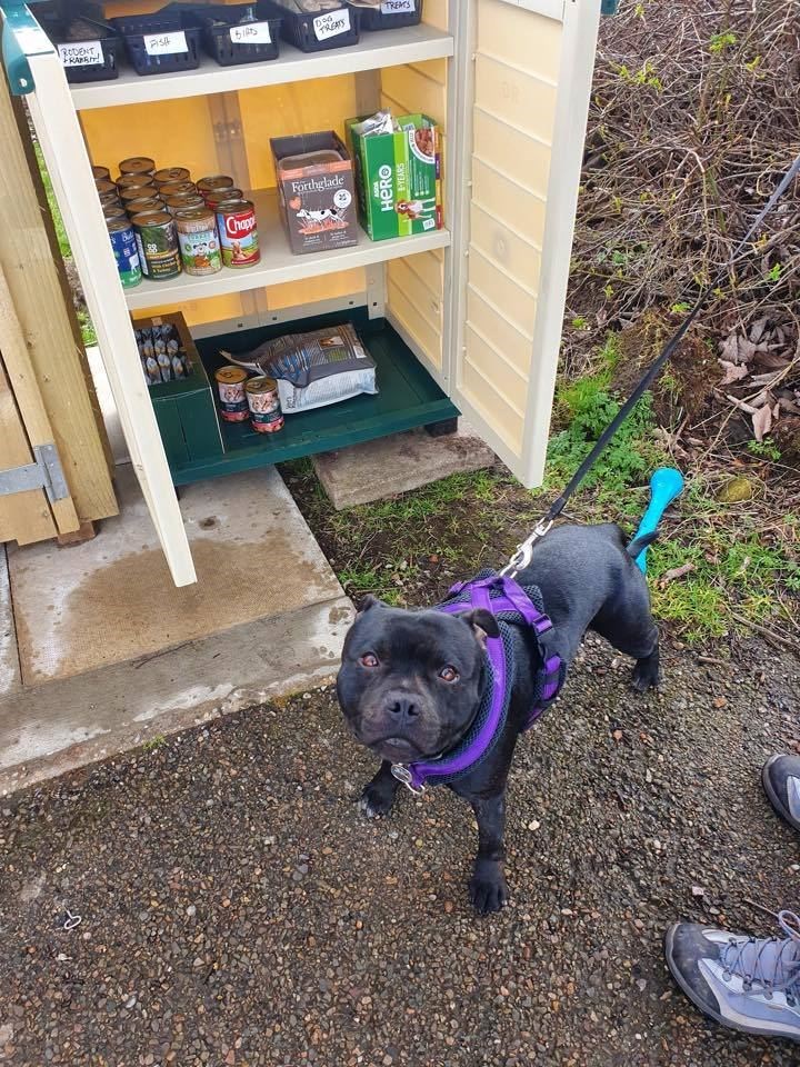 The pet larder has proved to be popular and donations are welcome.
